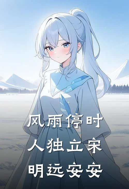 风雨停时人独立宋明远安安