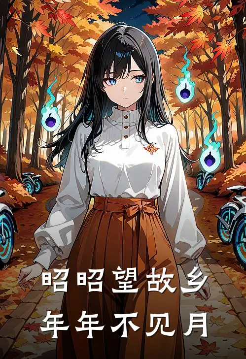 昭昭望故乡,年年不见月