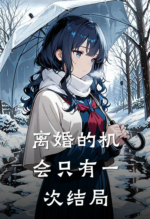 离婚的机会只有一次结局是