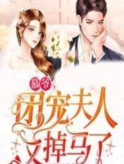 云青瑶陆仁最新章节畅销书籍