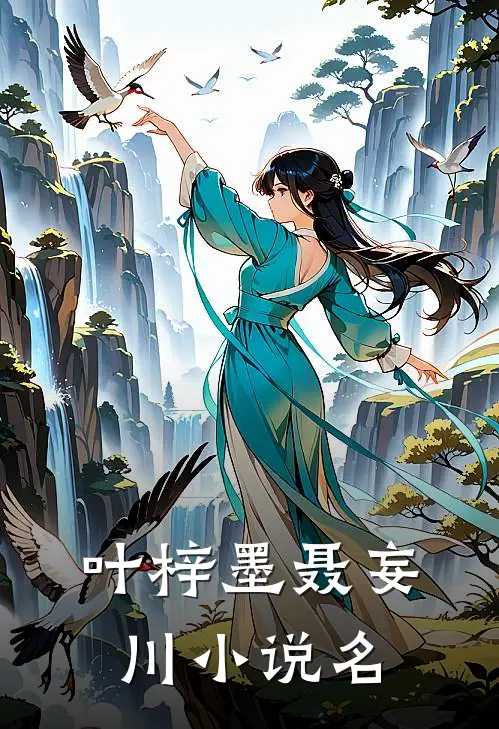 叶梓墨聂妄川小说名