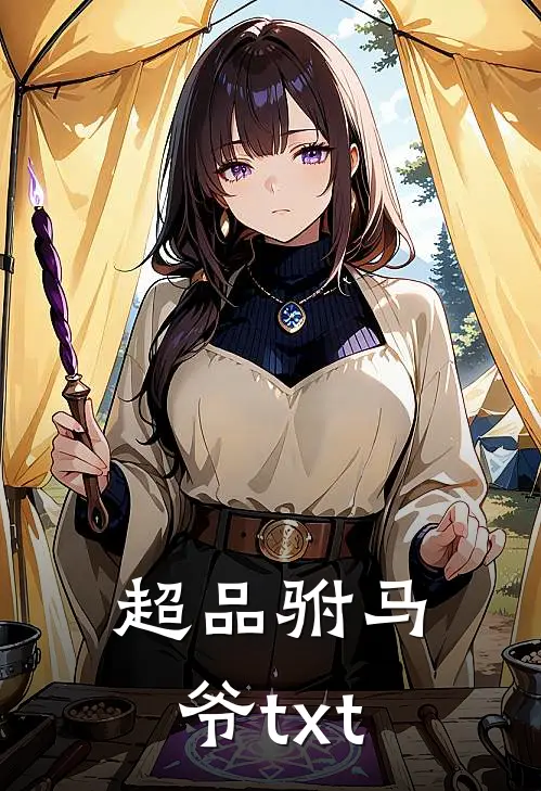 超品驸马爷txt