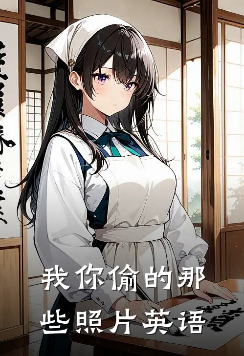 我你偷的那些照片英语