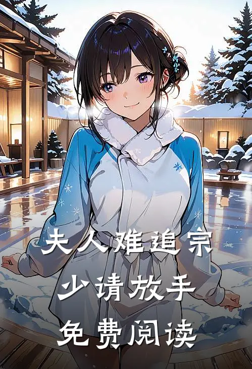 夫人难追宗少请放手免费阅读