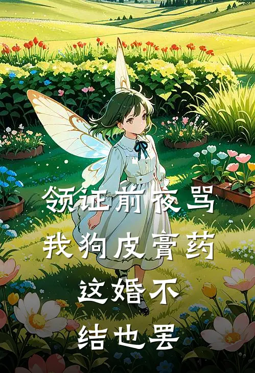 领证前夜骂我狗皮膏药，这婚不结也罢