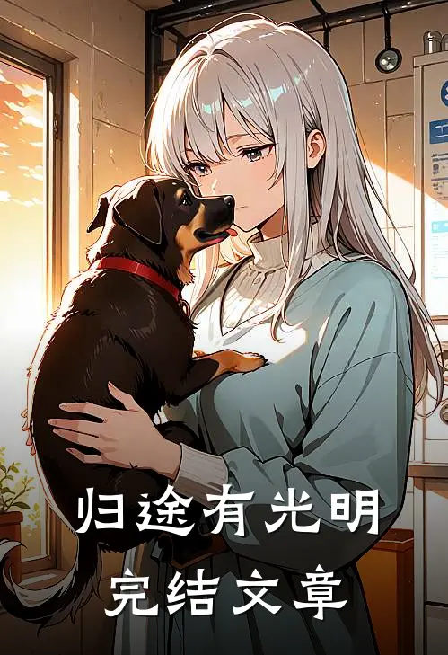 归途有光明完结文章