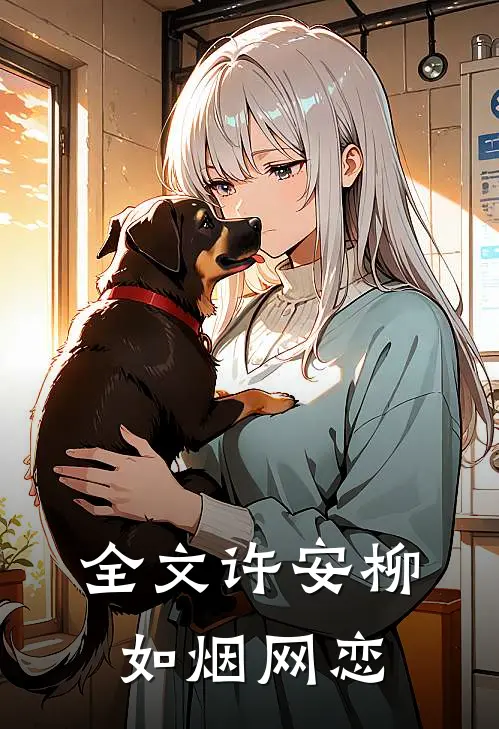 全文许安柳如烟网恋