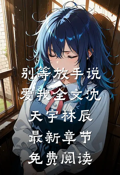 别等放手说爱我全文沈天宇林辰最新章节免费阅读