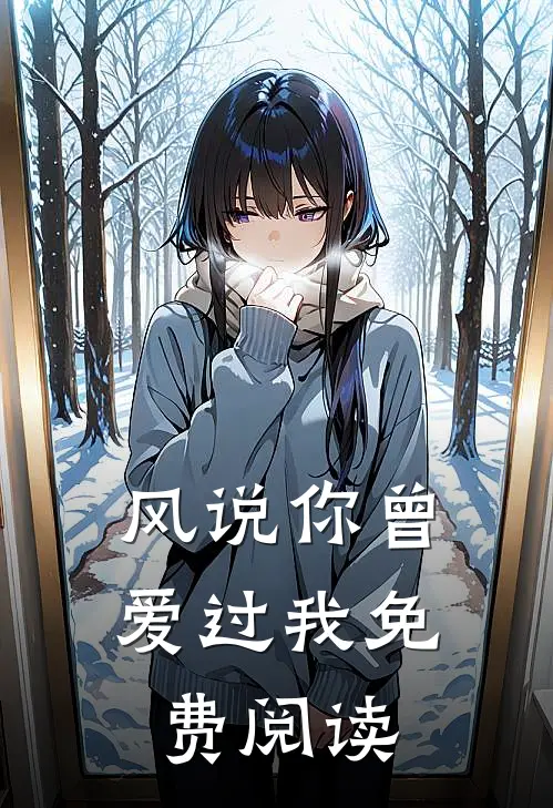风说你曾爱过我免费阅读