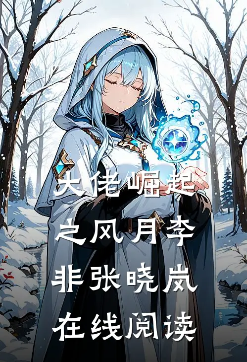 大佬崛起之风月李非张晓岚在线阅读