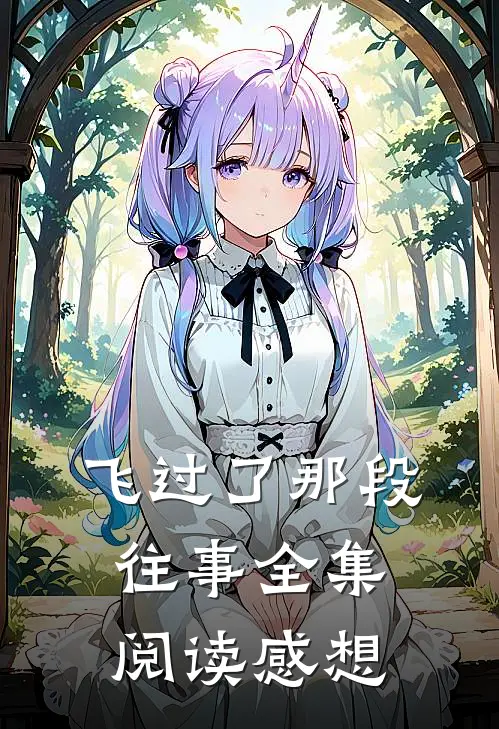 飞过了那段往事全集阅读感想