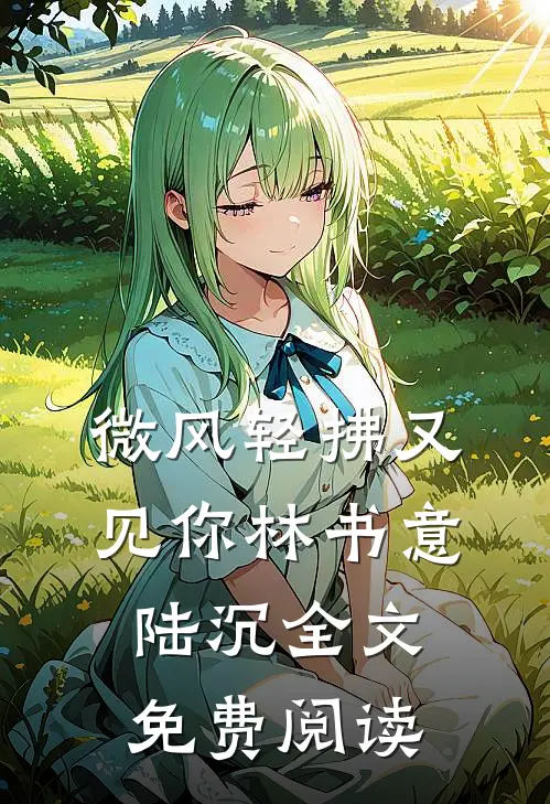 微风轻拂又见你林书意陆沉全文免费阅读