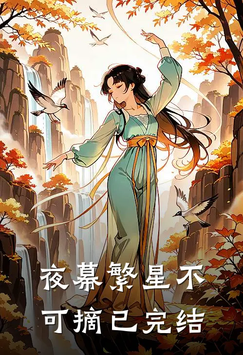 夜幕繁星不可摘已完结