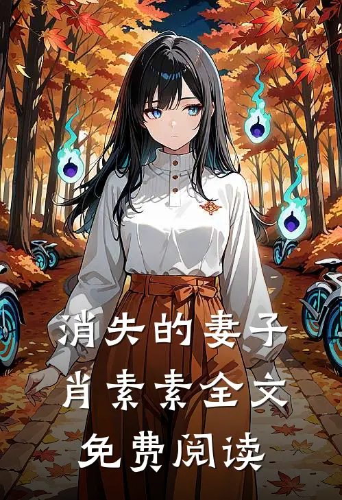 消失的妻子肖素素全文免费阅读