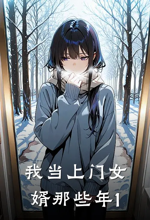 我当上门女婿那些年1