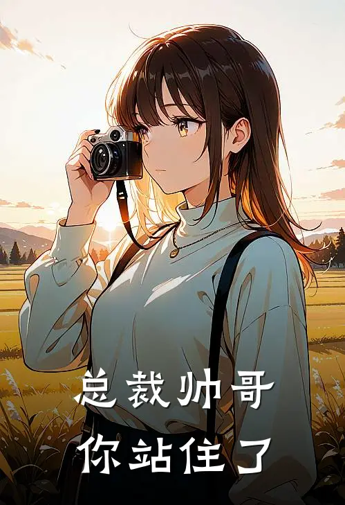 总裁帅哥你站住了