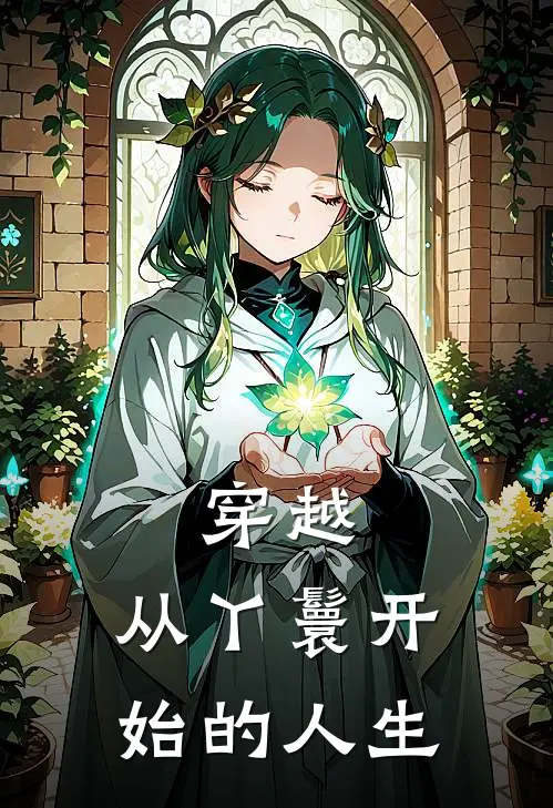 穿越：从丫鬟开始的人生