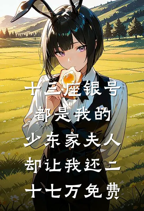 十三座银号都是我的，少东家夫人却让我还二十七万免费