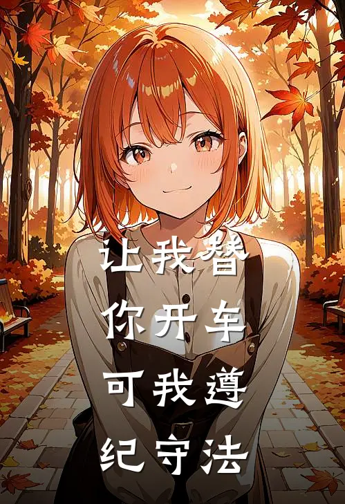 让我替你开车,可我遵纪守法英文