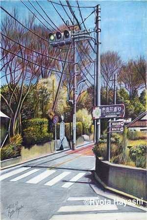 老婆提出AA制后，我倒欠一百万楚安琳琳完结文