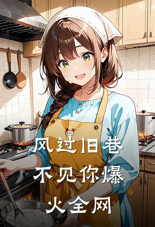 风过旧巷不见你爆火全网