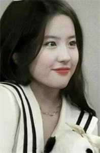 半颗丹心喂霜骨，一念成皇免费看