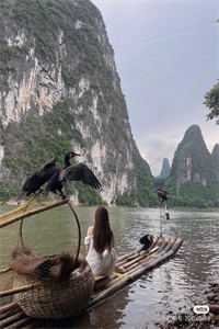 半颗丹心喂霜骨，一念成皇全文免费