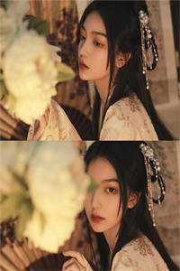 旧风未散的夏天在线阅读全本阅读