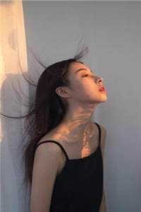 权利风暴：只谈法律不谈情小说在线阅读免费