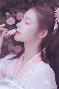 孤月难明料峭梦质量好文