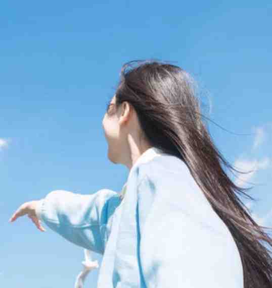 花零叶落两不见高口碑