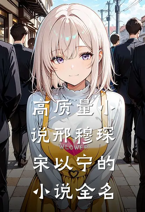 高质量小说邢穆琛宋以宁的小说全名