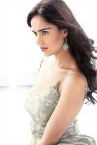 夏风掠过白夜小说全文免费阅读