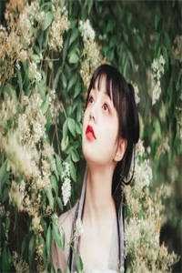 何以残影断归鸿前文+