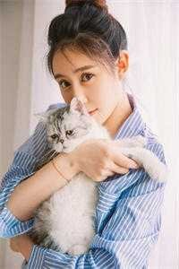 夏风掠过白夜全章节