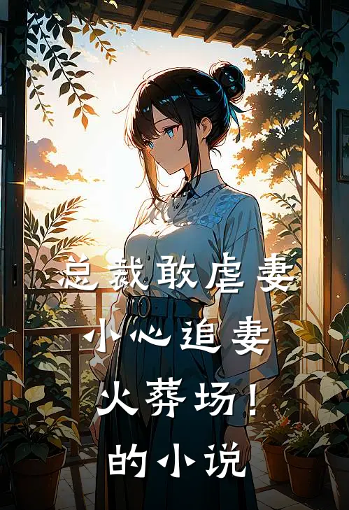 总裁敢虐妻，小心追妻火葬场！的小说