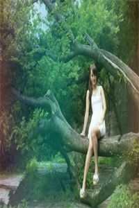 开局废皇子，别慌，先开个宝箱！全新