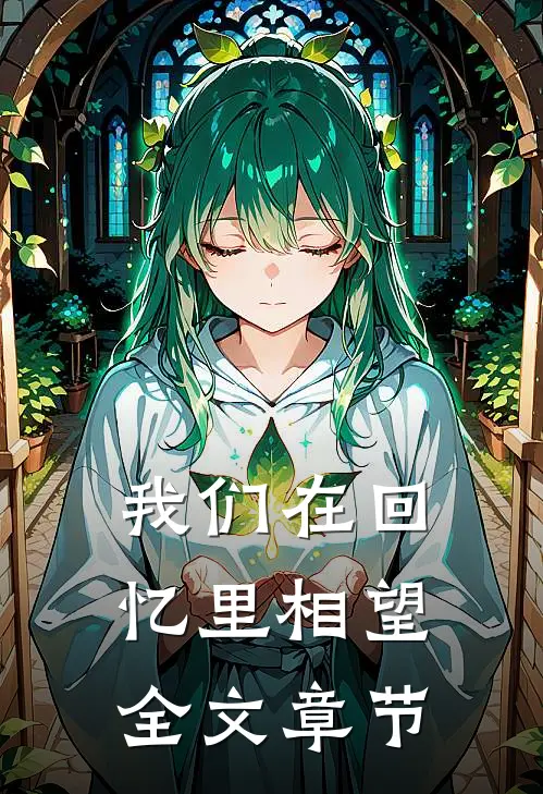 我们在回忆里相望全文章节概括