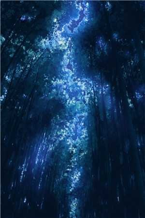 剪半程月光爆火全网