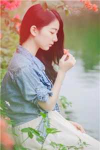 烟水拢残月免费看