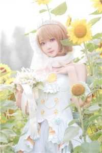 一别再无晨曦暮色目录