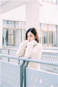 爱恨迟暮一叶秋小说全文免费