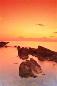 她送去风月一盏陆闻朝姜漫桐前文+后续