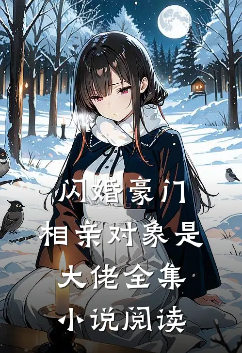 闪婚豪门：相亲对象是大佬全集小说阅读