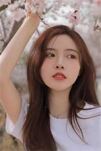 深情迟暮不抵寒全新