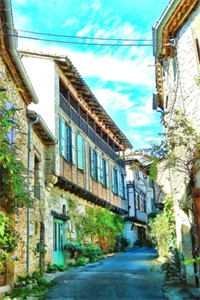 旧爱难渡，新欢不负完整文集阅读