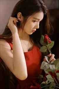 剪半程月光全球完整文集