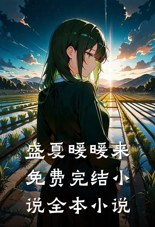 盛夏暖暖来免费完结小说全本小说