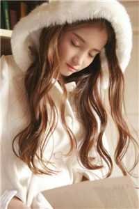 半颗丹心喂霜骨，一念成皇完整阅读