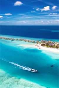 重生回来，我笑看男友和竹马参加旗袍展前言+后续